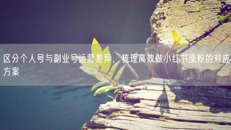 区分个人号与副业号运营差异，梳理高效做小红书涨粉的对应方案